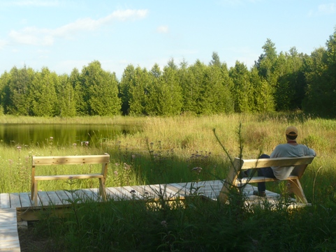 A man sitting on a bench on a pier in a wetland.
