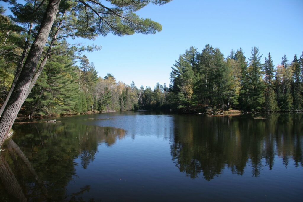A lake in northern Wisconsin surrounded by a variety of trees.