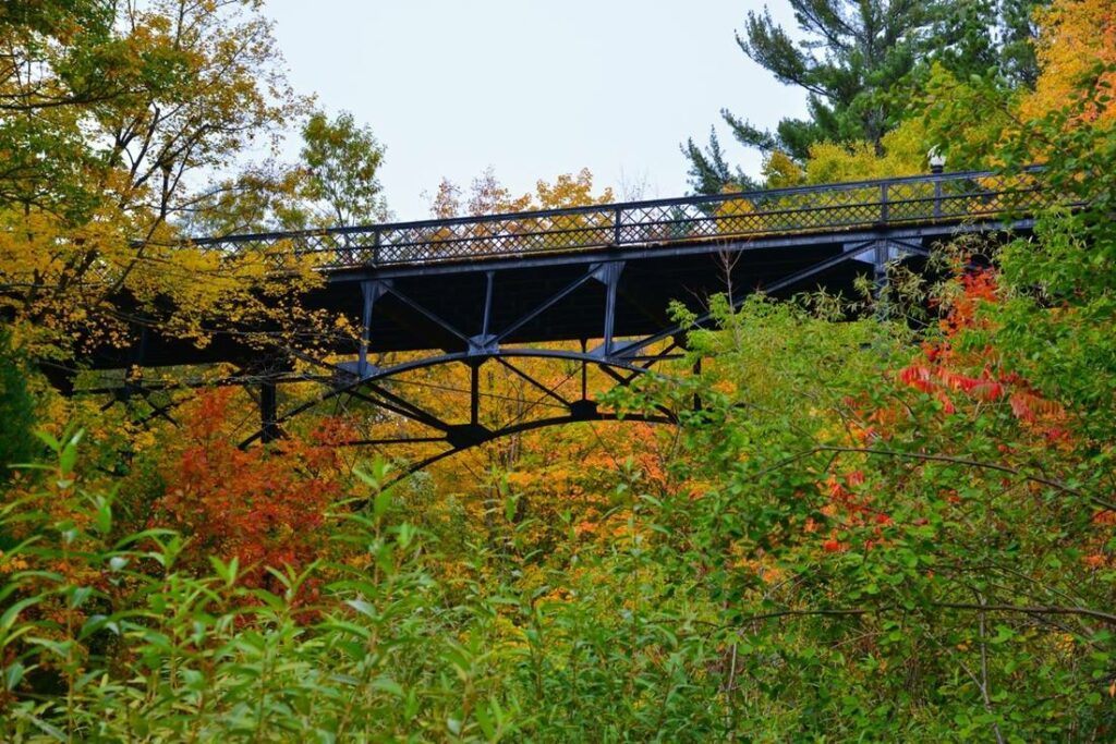 A scenic bridge crossing over trees in autumn.