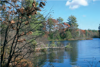 A scenic lake with clear blue water surrounded by trees just starting to change color in autumn.