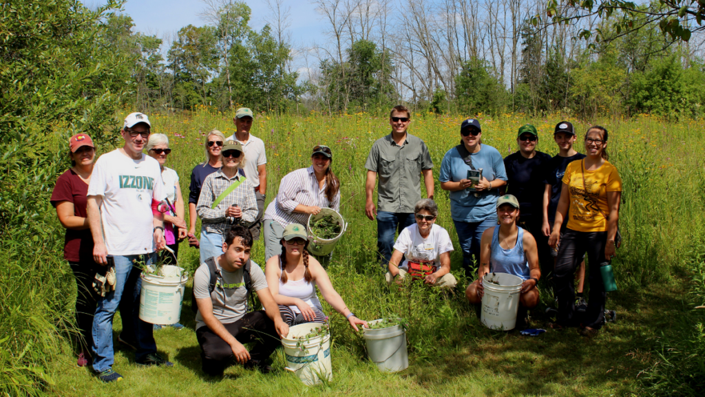A group of volunteers in a field standing and kneeling together around buckets full of invasive weeds.