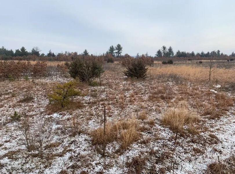 A prairie in the winter with a dusting of snow over a yellow and brown flat landscape.