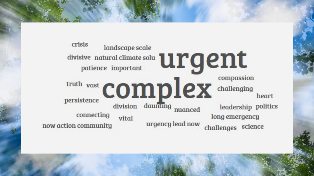 Word cloud with the biggest words being urgent and complex
