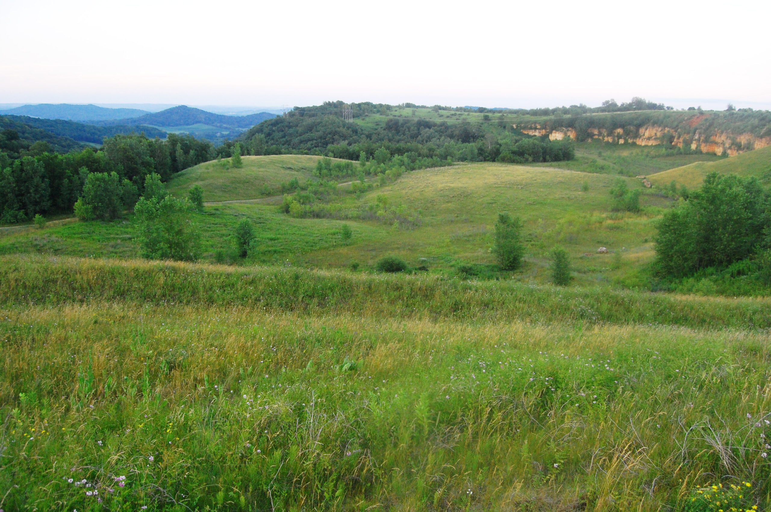 Landscape picture of La Crosse Blufflands