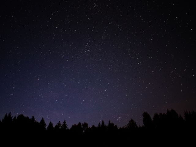 A night sky with a line of trees at the bottom