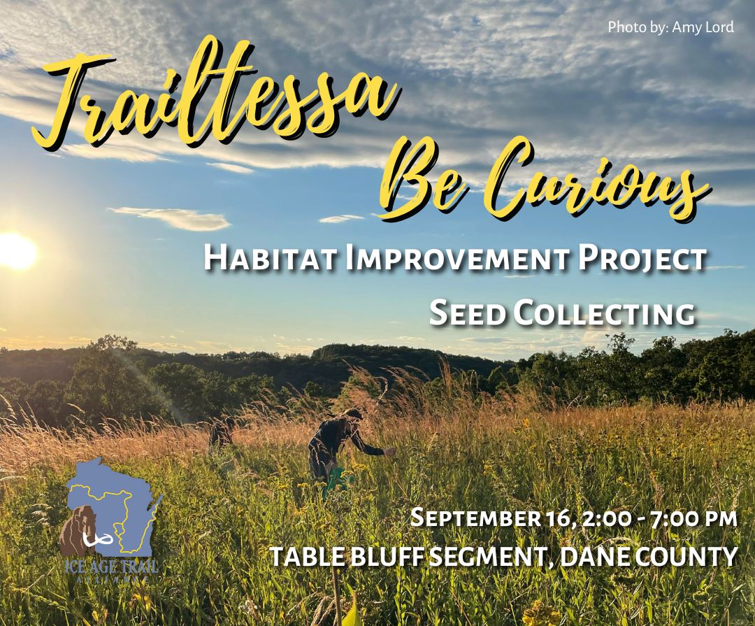 Picture of landscape with text reading "Trailtessa. Be Curious. Habitat improvement project seed collecting. September 16, 2 pm to 7 pm. Table Bluff Segement, Dane County"