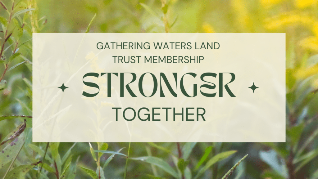 Graphic with blurry grass background and text overlay that reads Gathering Waters Land Trust Membership: Stronger Together