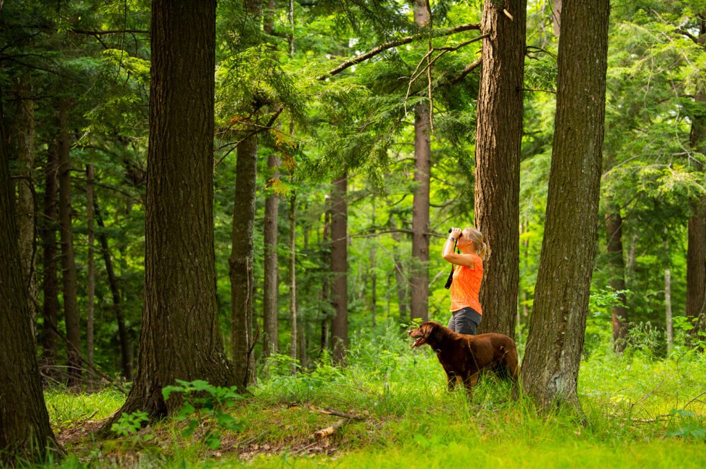 Photo by Jay Brittain of a woman wearing an orange shirt and holding binoculars as she explores the Pelican River Forest with her chocolate lab.
