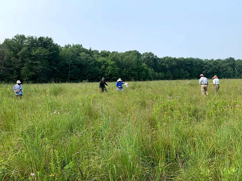 People in a prairie during summer