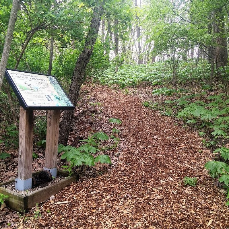 Wood chipped trail through the woods with a large trail sign on the left