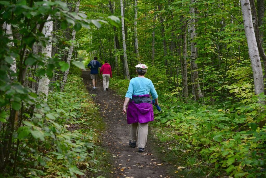 People walking on a dirt trail in the middle of a forest