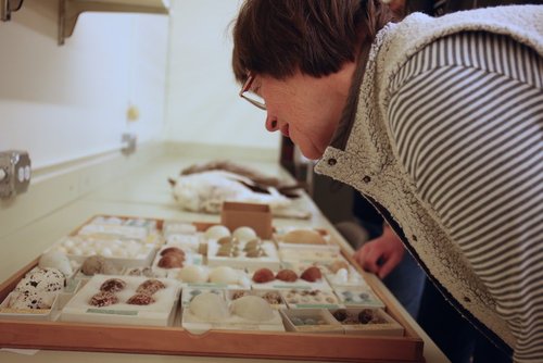 A woman leaning over a collection of rocks in a museum.