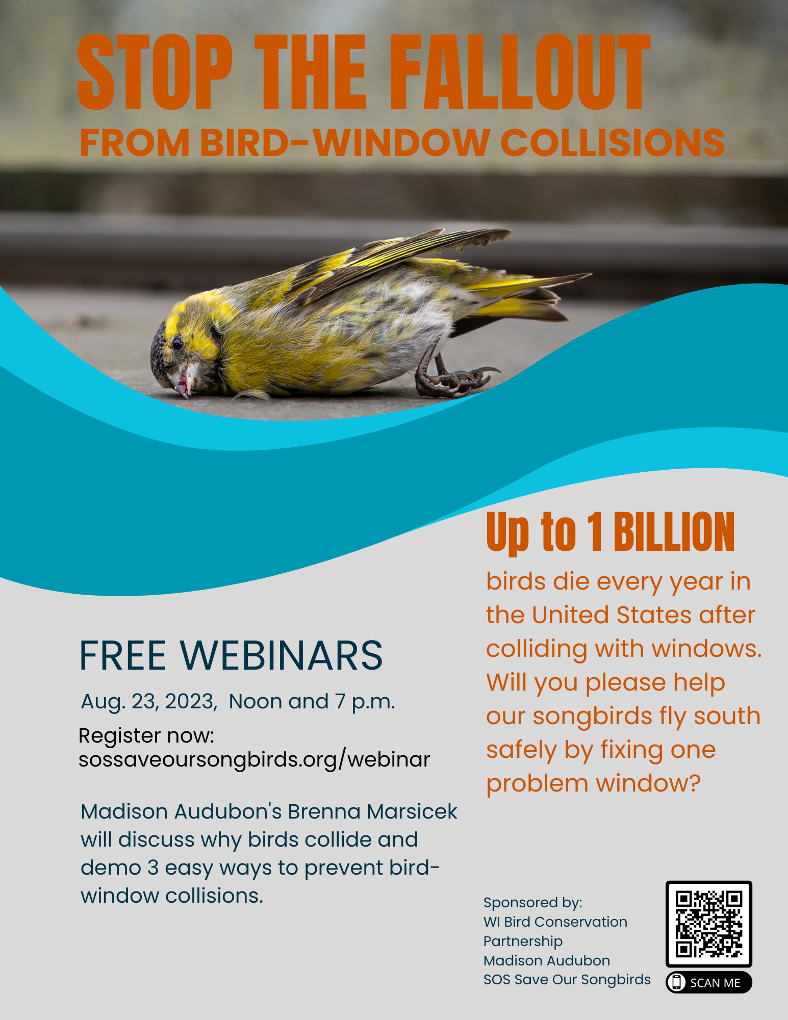 Flyer for a webinar about preventing bird-window collisions.