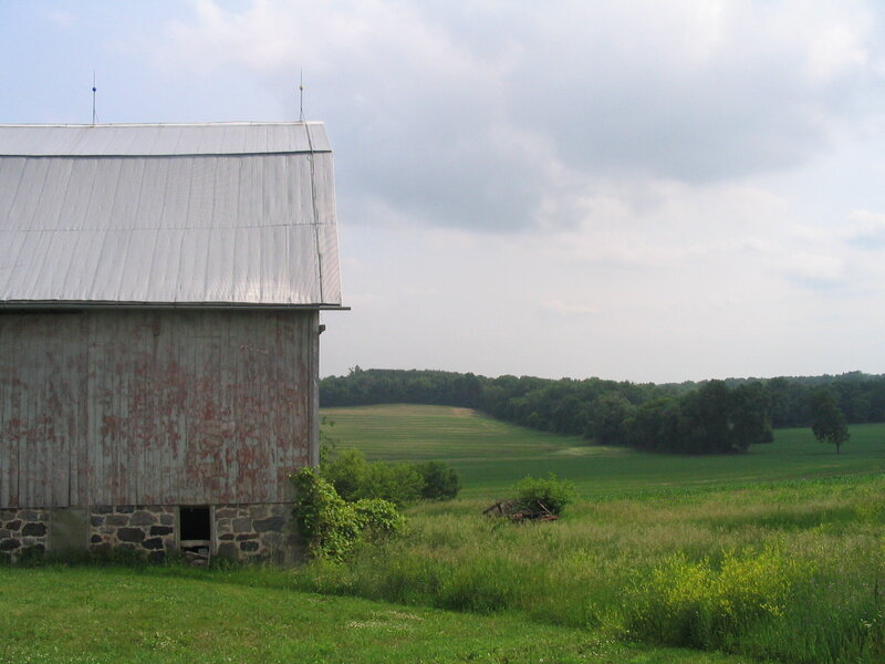 Grey shed in front of an open green grassy field