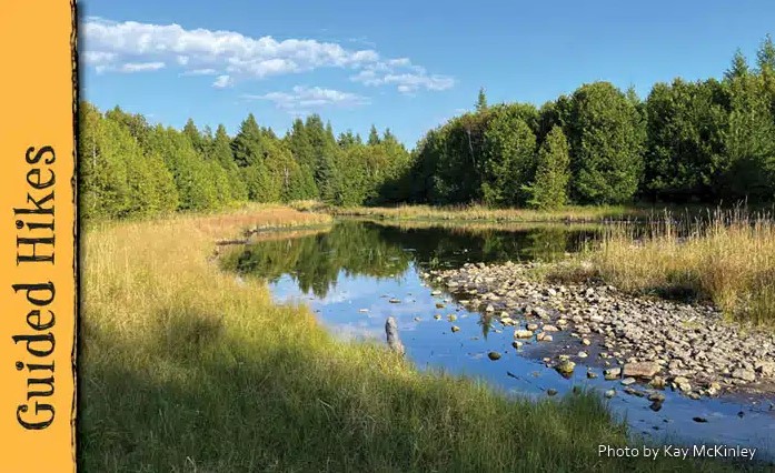 A wetland with rocky shore surrounded by grasses and forest.