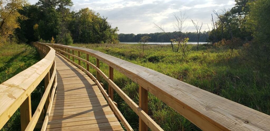 A new wooden boardwalk extends over a wetland in summer.