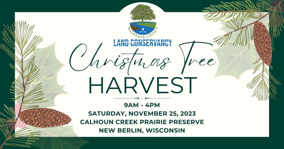 Promo for Christmas Tree Harvest event.