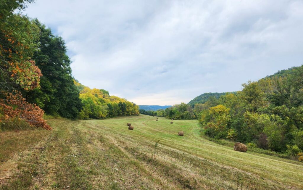 A farm field with baled hay running through a wooded area in fall.