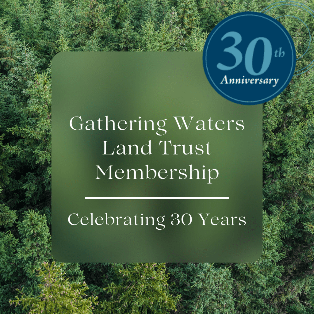 A forest of trees with text overlaid in a green box about Gathering Waters Land Trust Membership.