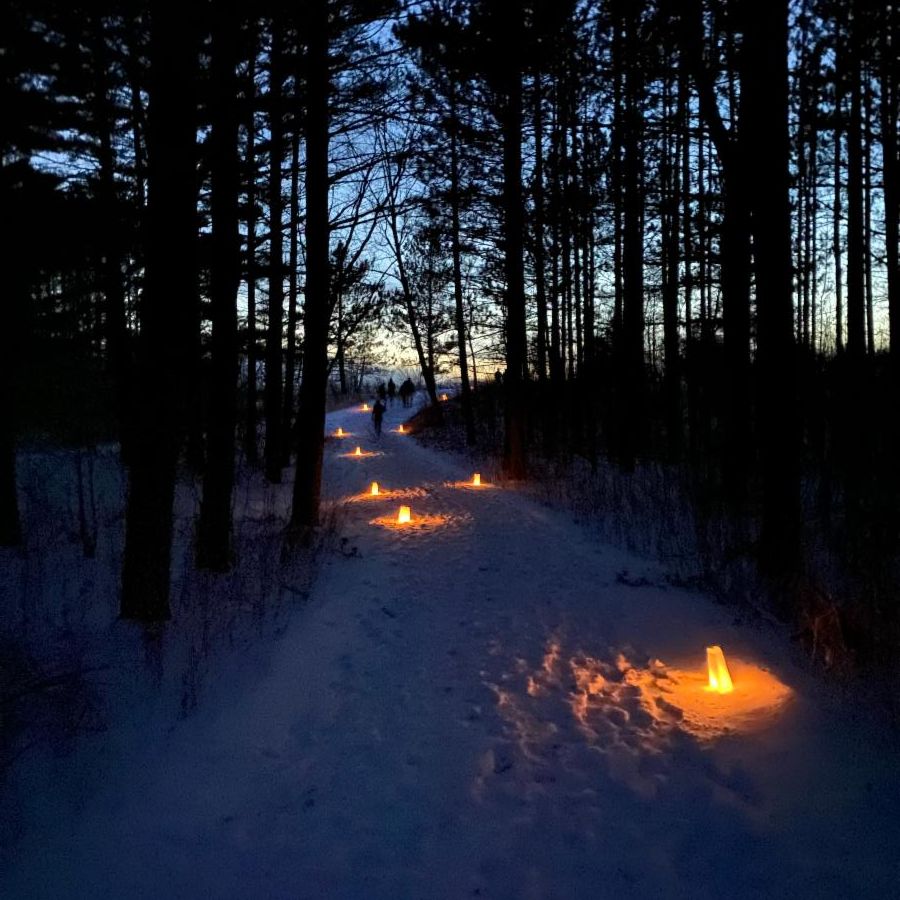 A snow covered path in the woods at night lit by luminaries on the ground.