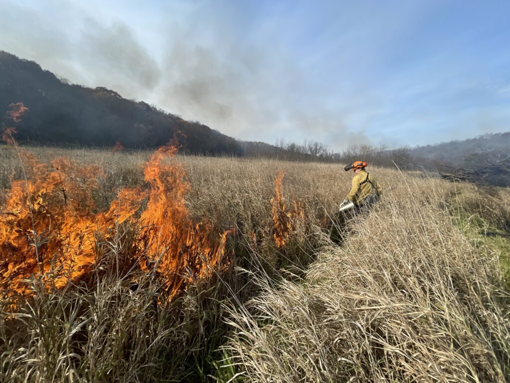 A person in firefighting gear working on a prescribed burn in a prairie.
