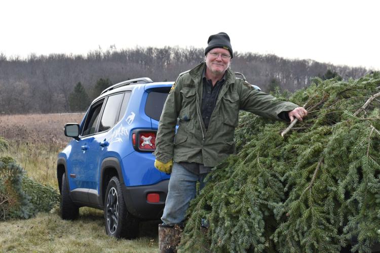 A man standing next to a Christmas tree that was just cut down and a blue car in the background.