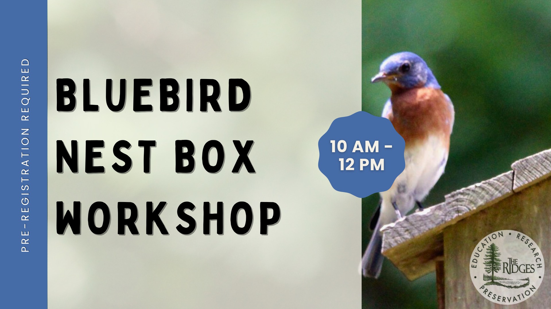 Promo for Bluebird Nest Box Workshop with a small bluebird on a branch.
