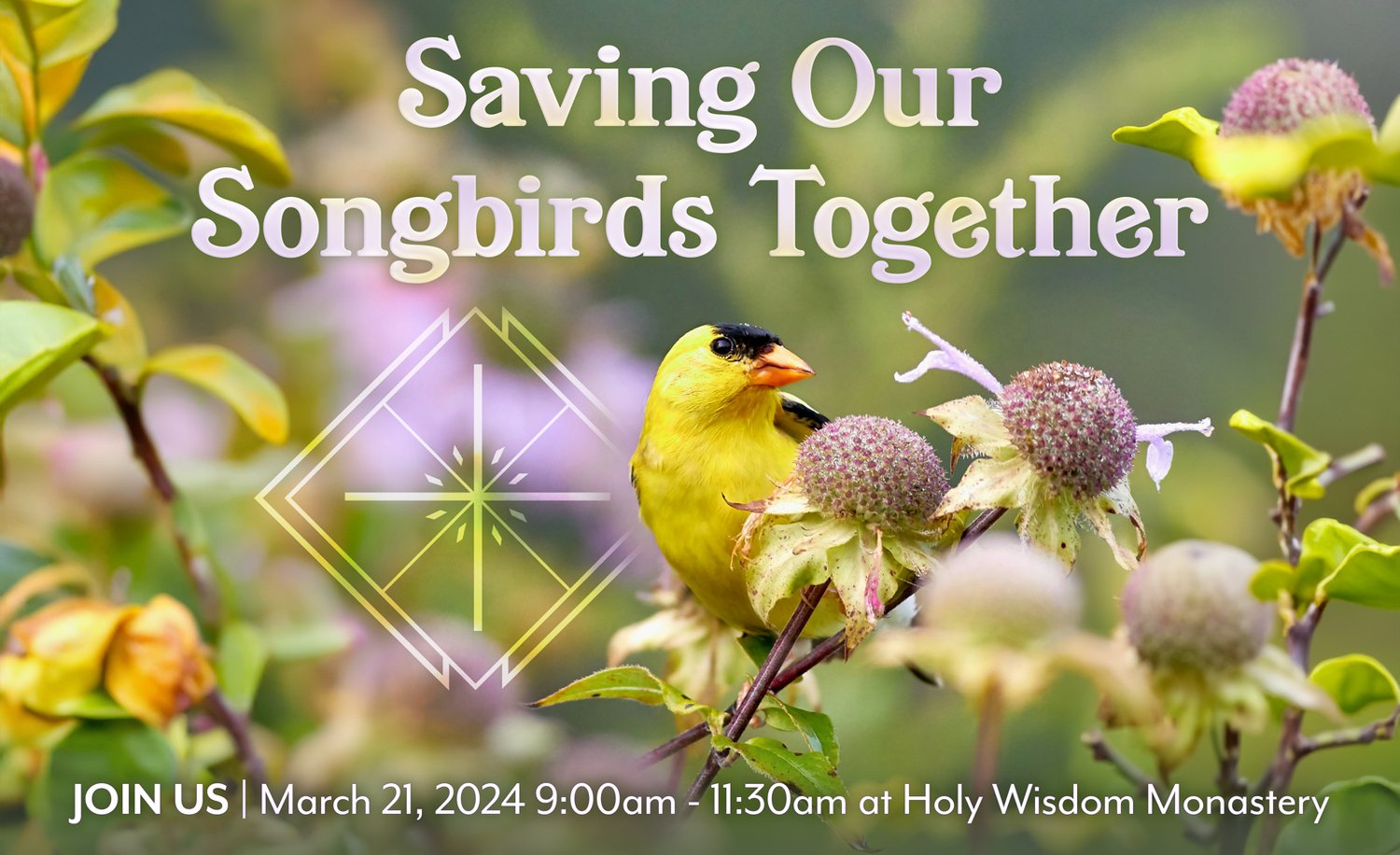 A bright yellow songbird on a plant with subtle purple flowers with promo info for Saving our Songbirds workshop.