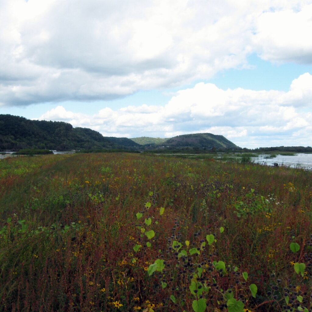 An expansive natural area with rolling hills and a cloud filled sky.