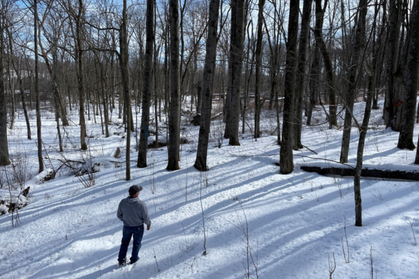 A man standing alone in snow looking out at a forest in winter.