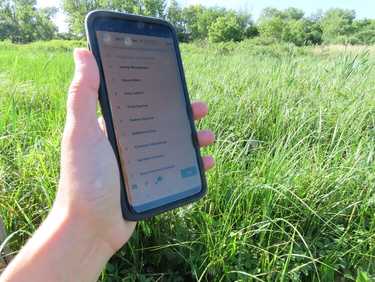 A point-of-view photo of a hand holding a cellphone; the screen shows the search function in an application. The person is standing in a grassy field.