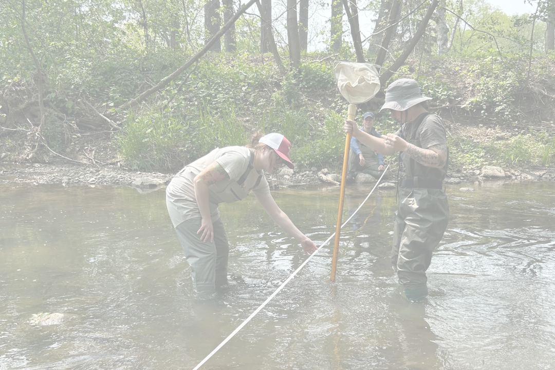 Two individuals use various tools to take measurements of a creek.