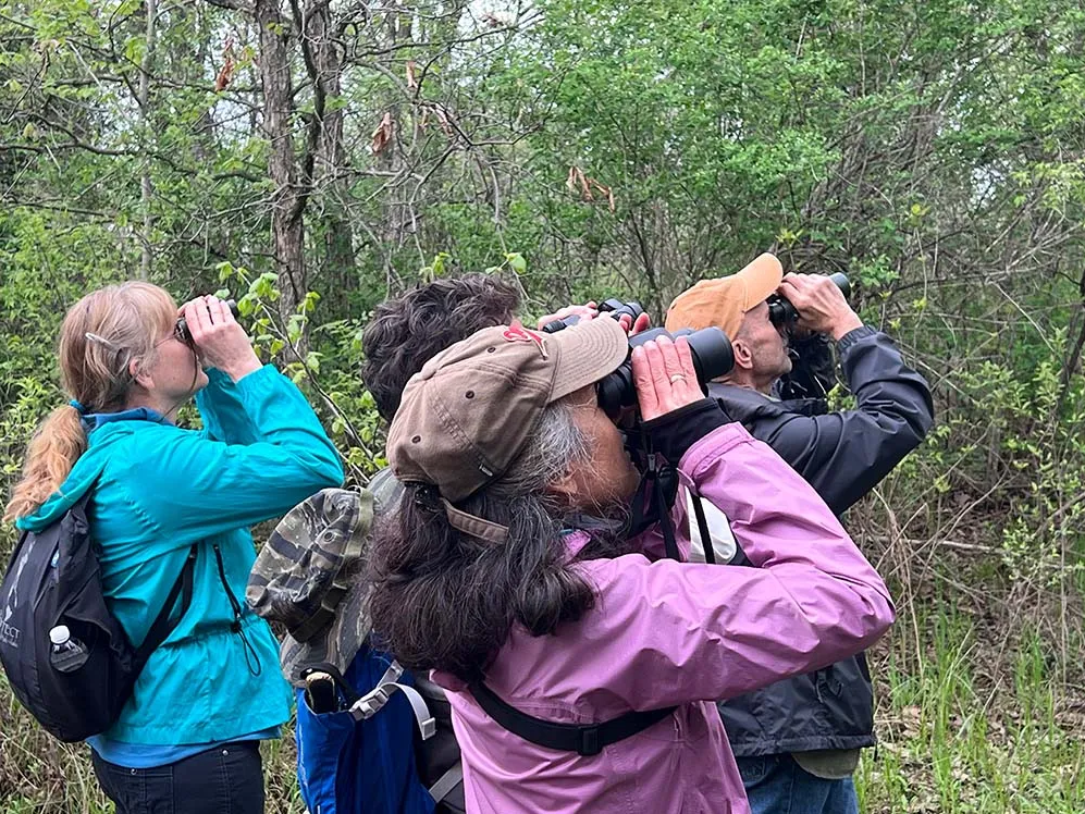 A small group of individuals look through binoculars, searching for birds.