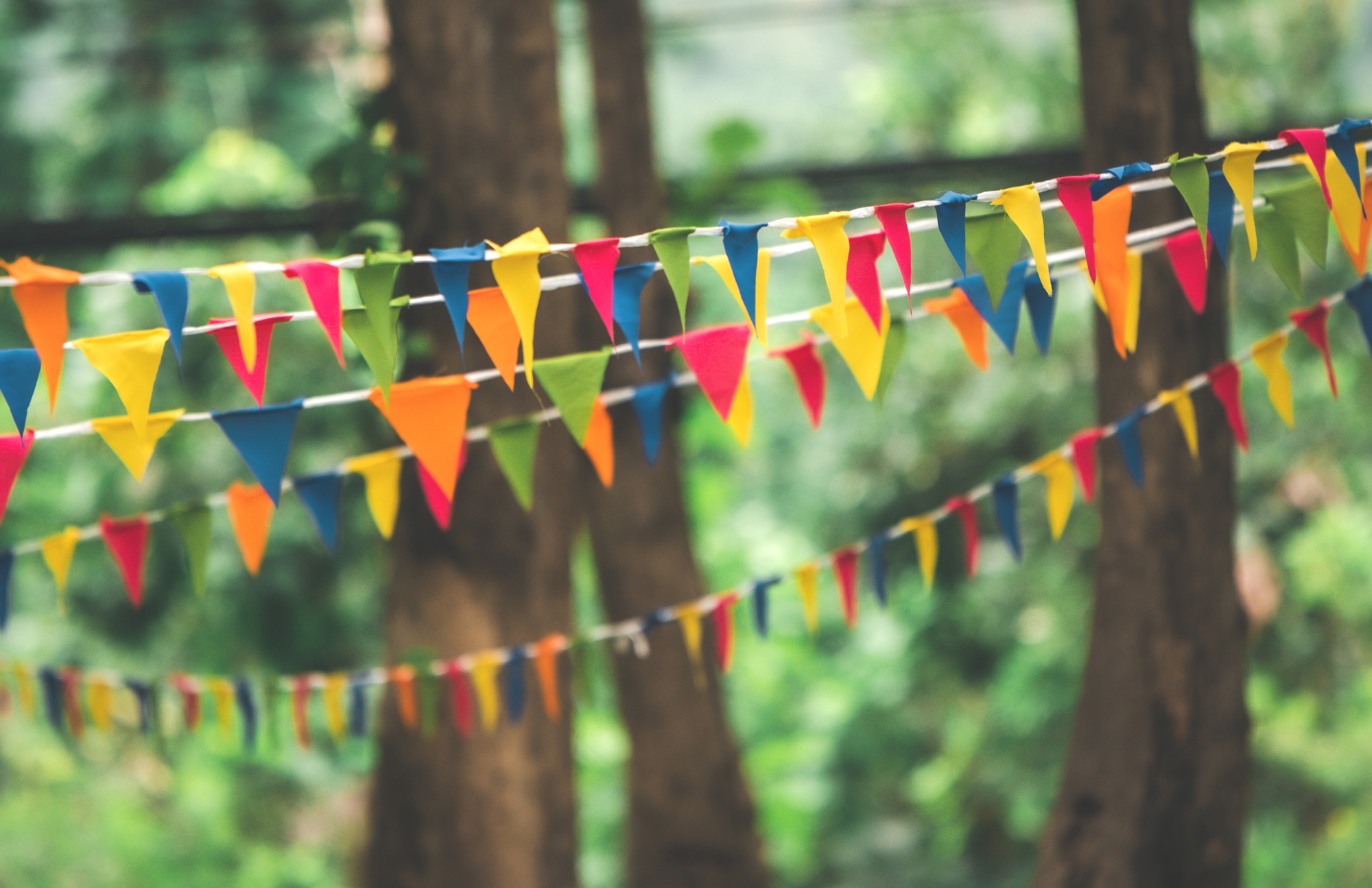 Party flags hang in a forest.