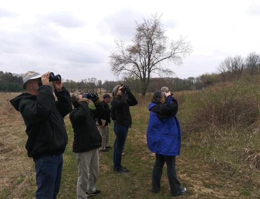 A group of about 6 individuals look through binoculars, searching for birds.