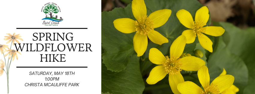 A flyer for a Spring Wildflower Hike shows event details on the left and a photo of marsh marigolds on the right.