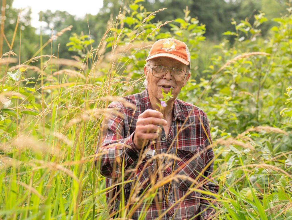 An older man in a field of tall grasses holding up a plant.