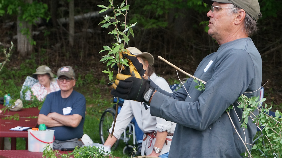 An instructor wearing gardening gloves holds an invasive plant, instructing a group of individuals on how to identify it.