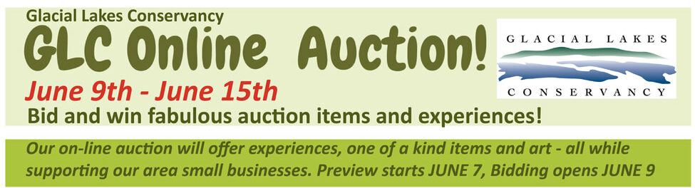 An event flyer displays many details for an online auction.