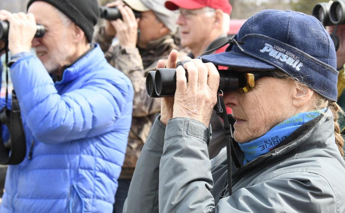 A close up photo of a group of birders looking through binoculars.