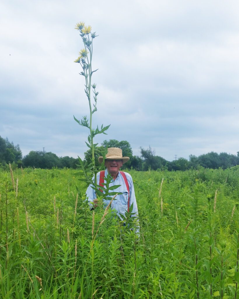 An old man standing in a field with tall grass and a very tall flower.