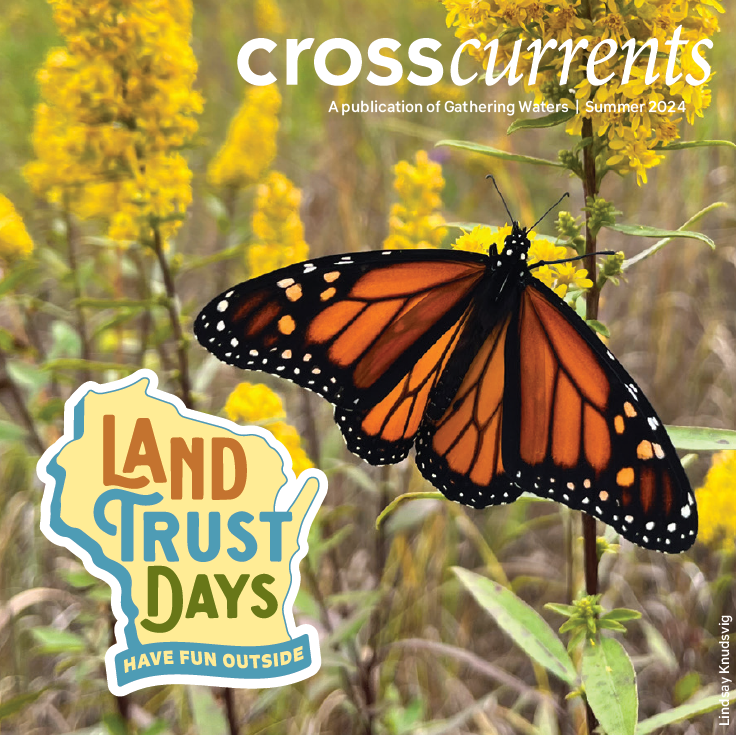 Cover of 2024 Land Trust Days calendar with a orange monarch butterfly on yellow flowers.