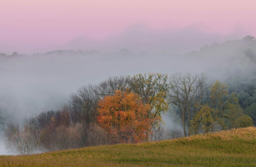 A pink and gray cloudy sky on a misty day in autumn.