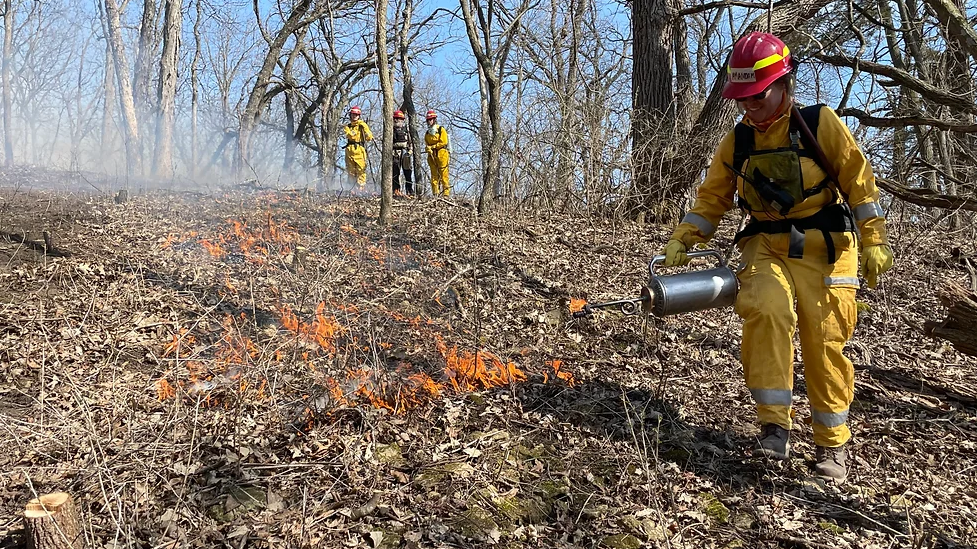 An individual wearing flame-resistance clothing, uses a device for prescribed burning. Three other individuals in the same gear look on.