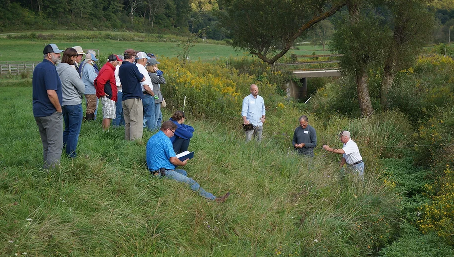 A group of individuals survey land surrounding a creek.