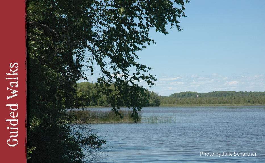 A photo looking out to a body of water on the Kangaroo Lake nature preserve.