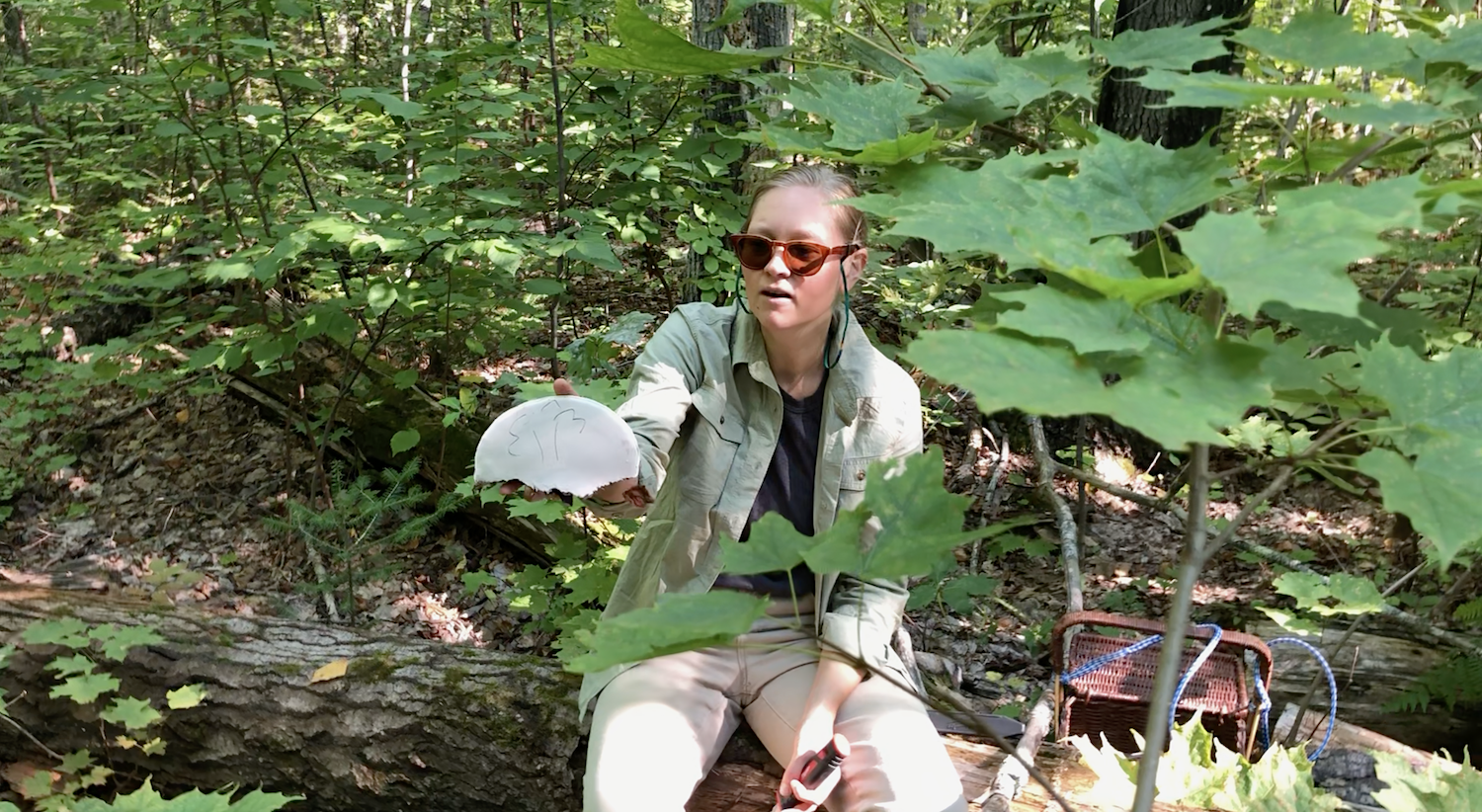 Naturalist Samantha Dobson sits on a fallen tree, showing off a puffball mushroom.