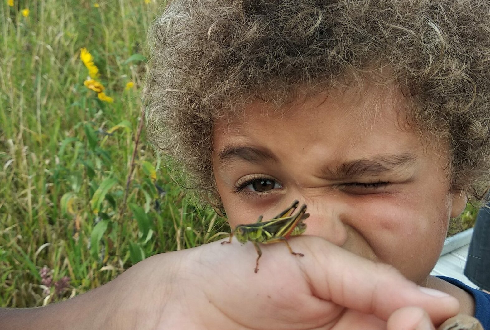 A close up photograph of a young child squinting to look at a grasshopper that an adult holds in their hand.