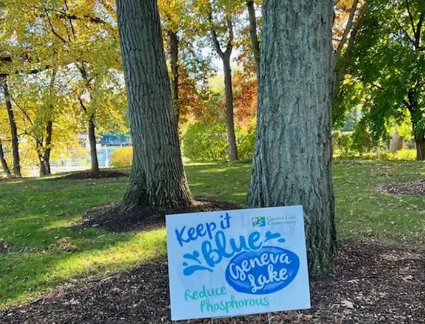 A yard sign that says Keep It Blue stuck in the ground by several trees.