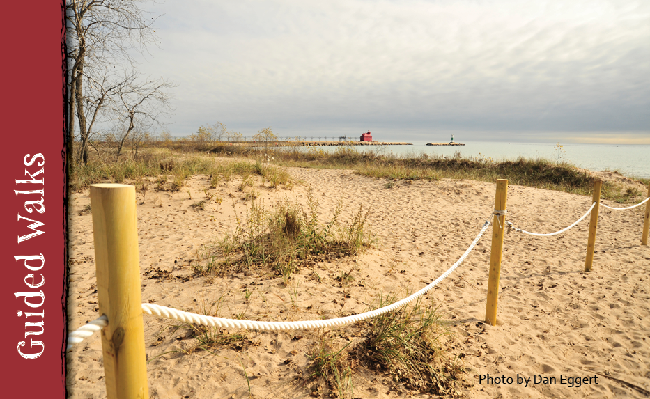 A photo of a sandy beach with a rope fence sectioning off an area with tufts of grass.